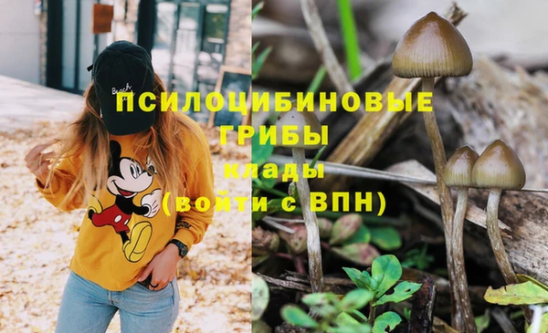 соль ск Навашино