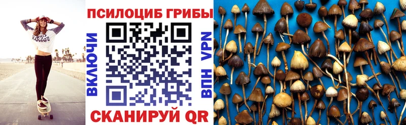 Псилоцибиновые грибы GOLDEN TEACHER  где можно купить наркотик  Зеленодольск 