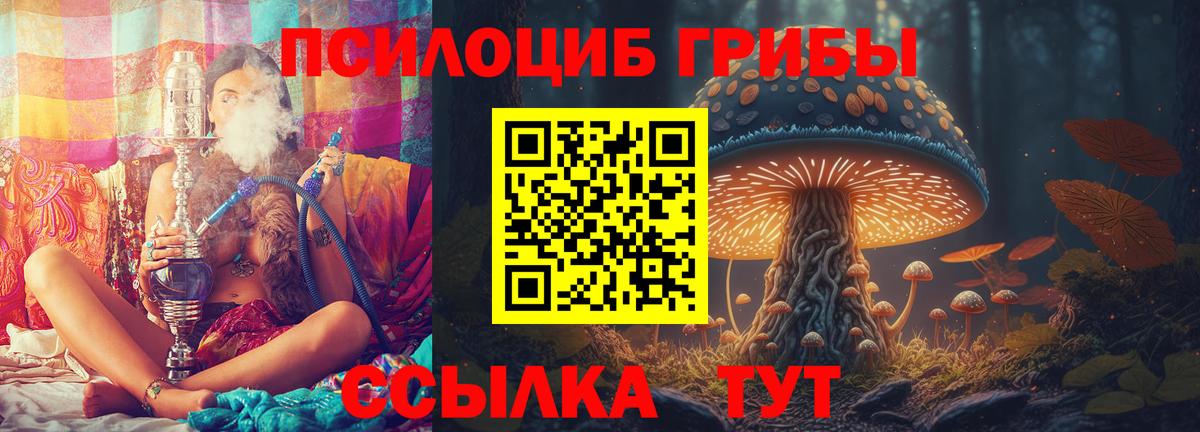 Псилоцибиновые грибы MAGIC MUSHROOMS  Зеленодольск  Псилоцибиновые грибы прущие грибы 